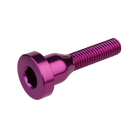 Burgtec Top Cap Bolts Purple Rain