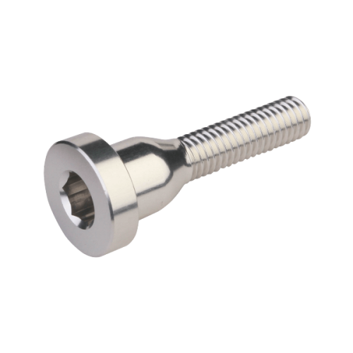 Burgtec Top Cap Bolts Rhodium Silver